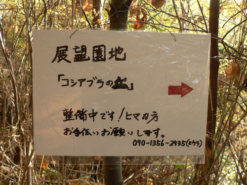 f0219710_8124150.jpg