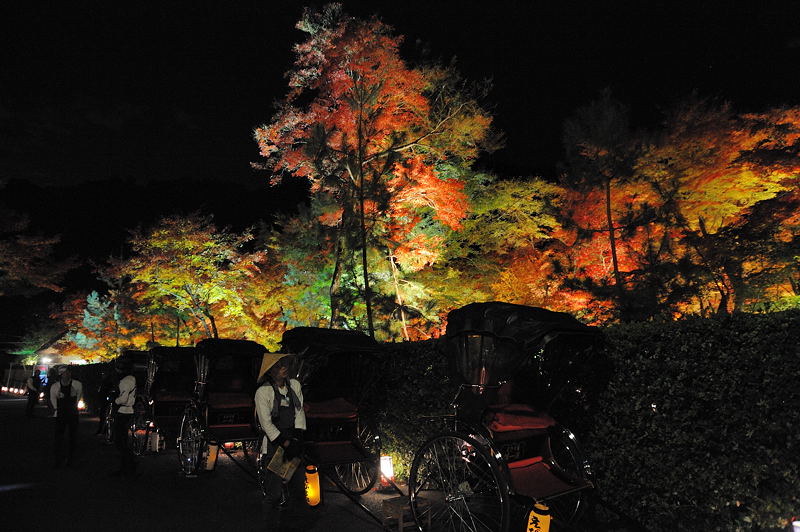 2010京都の紅葉 宝厳院ライトアップ_f0032011_18514212.jpg