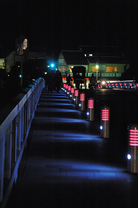 2010京都の紅葉 宝厳院ライトアップ_f0032011_18515215.jpg