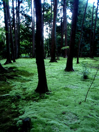 f0043911_31322.jpg