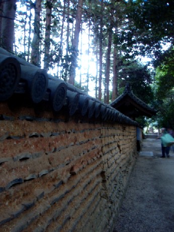 f0043911_31923.jpg