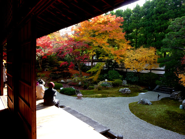 月の輪山 泉涌寺 _e0048413_20354012.jpg