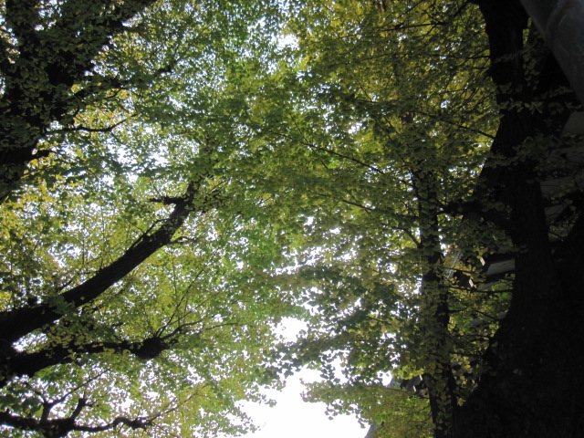 c0200314_14254259.jpg