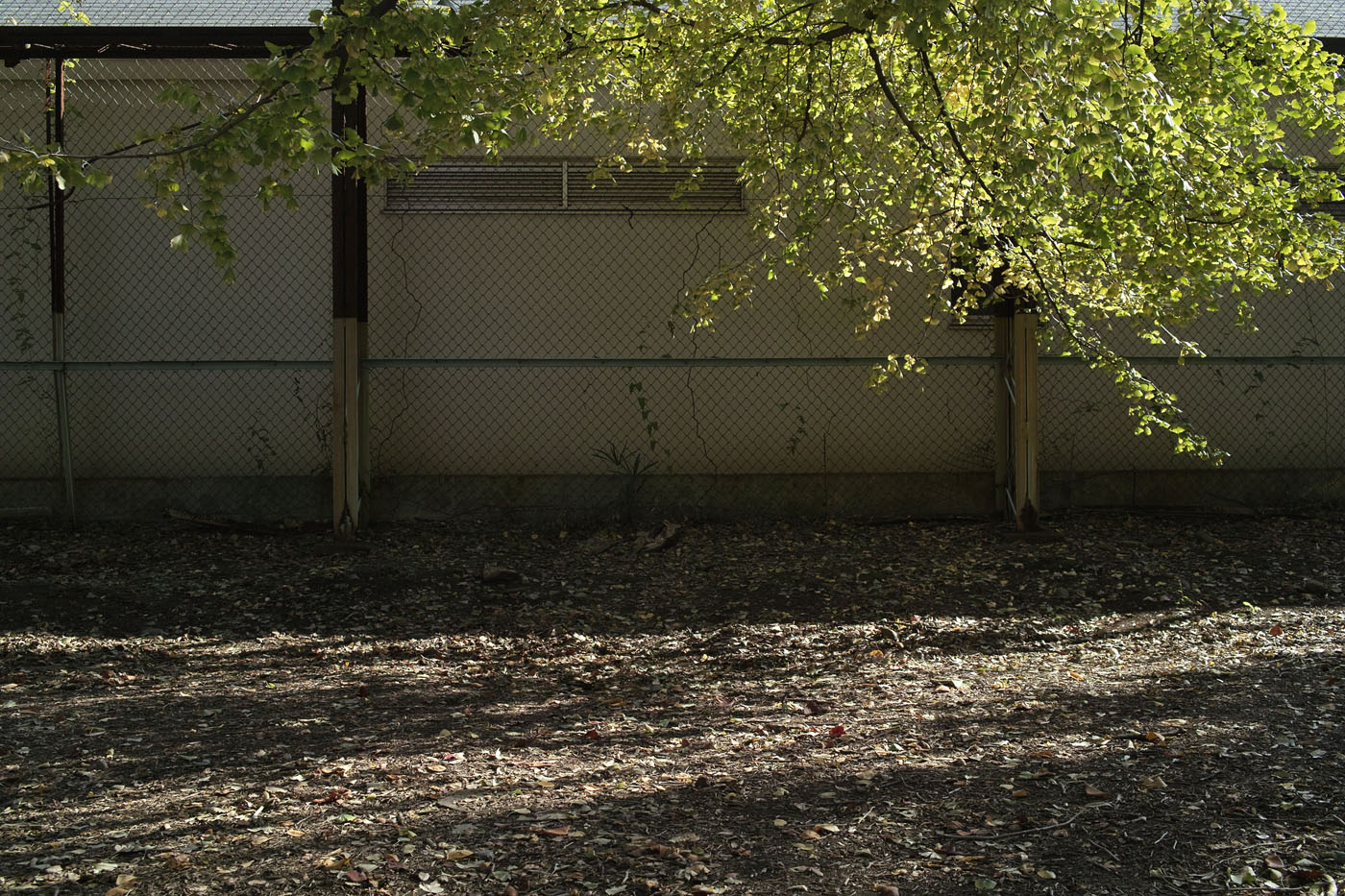c0213117_2135567.jpg