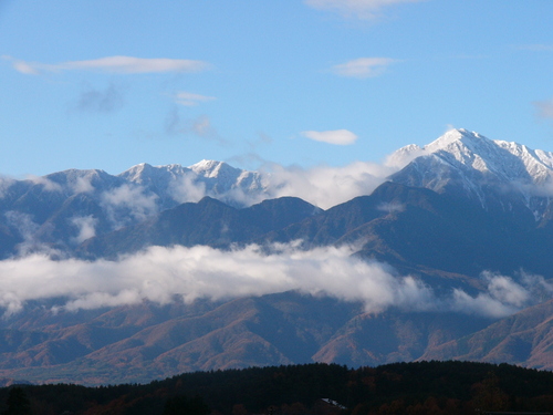 d0183417_80813.jpg
