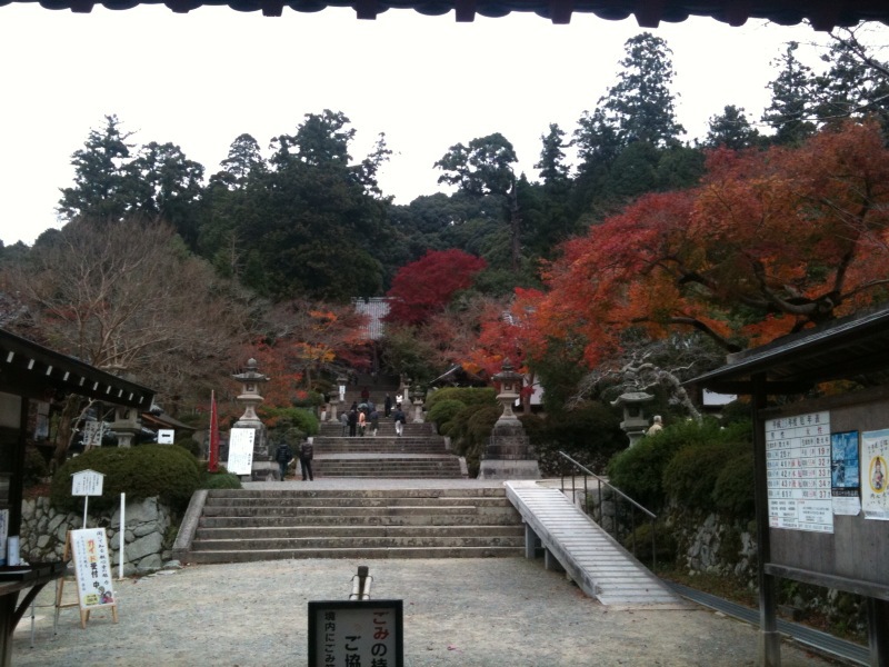 観心寺 紅葉_a0079019_13523622.jpg