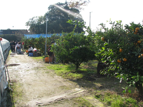 a0149522_11565011.jpg