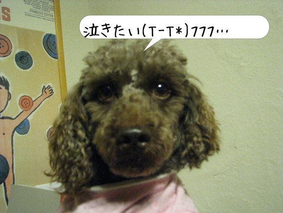 a0149522_1303480.jpg