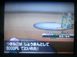 ポケットモンスターブラック縛りプレイ ヒウンシティ探索編 つきねこの日記 ポケットモンスターブラック縛りプレイ ヒウンシティ探索編 つきねこの日記
