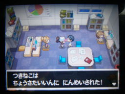 ポケットモンスターブラック縛りプレイ ヒウンシティ探索編 つきねこの日記 ポケットモンスターブラック縛りプレイ ヒウンシティ探索編 つきねこの日記