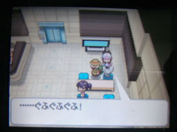 ポケットモンスターブラック縛りプレイ ヒウンシティ探索編 つきねこの日記 ポケットモンスターブラック縛りプレイ ヒウンシティ探索編 つきねこの日記