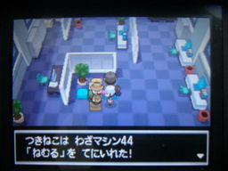 ポケットモンスターブラック縛りプレイ ヒウンシティ探索編 つきねこの日記