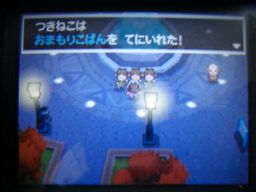 ポケットモンスターブラック縛りプレイ ヒウンシティ探索編 つきねこの日記 ポケットモンスターブラック縛りプレイ ヒウンシティ探索編 つきねこの日記