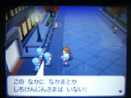 ポケットモンスターブラック縛りプレイ ヒウンシティジム戦 つきねこの日記 ポケットモンスターブラック縛りプレイ ヒウンシティジム戦 つきねこの日記