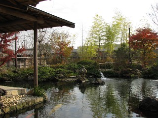 e0202031_2048257.jpg