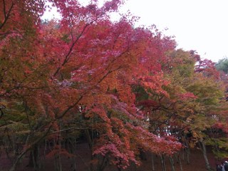 c0088437_222381.jpg