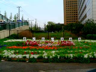 川崎いまむかし―歩いて学ぶ地域の歴史 講座風景_e0211937_1644271.jpg
