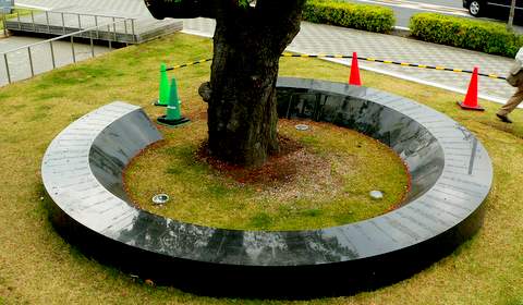川崎いまむかし―歩いて学ぶ地域の歴史 講座風景_e0211937_16575366.jpg