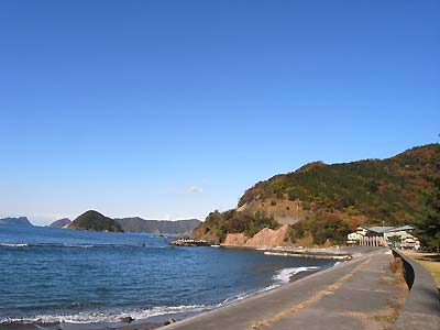 海浜センター・ビーチコミング講座2010_c0019338_932824.jpg