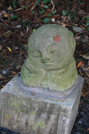 滝の谷不動峡もみじ_f0082141_23145621.jpg