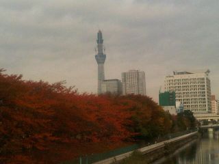 TOKYO SKY TREE - 11/19,25/2010_c0019743_11581434.jpg