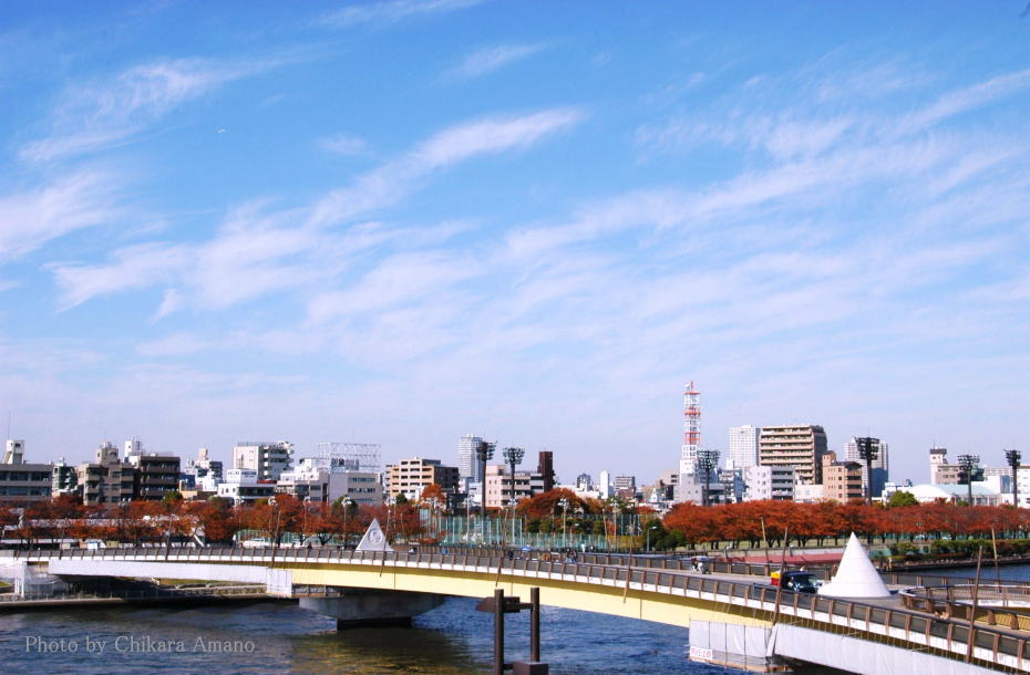 隅田川沿いの街並みと澄明な秋の空#2_f0045844_10595029.jpg