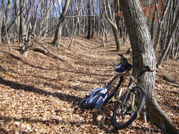 自転車(MTB)で笹尾根_d0014748_1973470.jpg