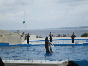b0198549_22574659.gif