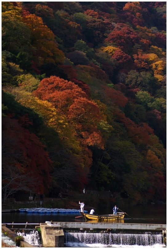 京都 嵐山界隈_e0063851_18371084.jpg