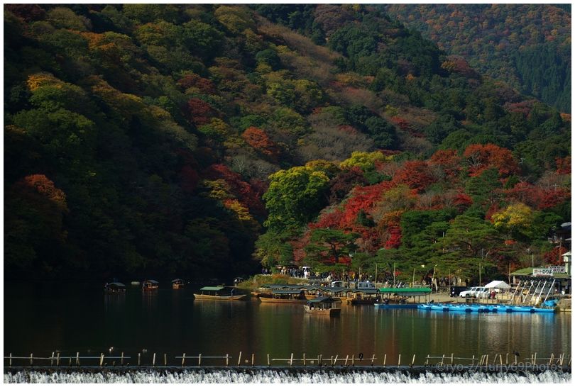 京都 嵐山界隈_e0063851_18371986.jpg
