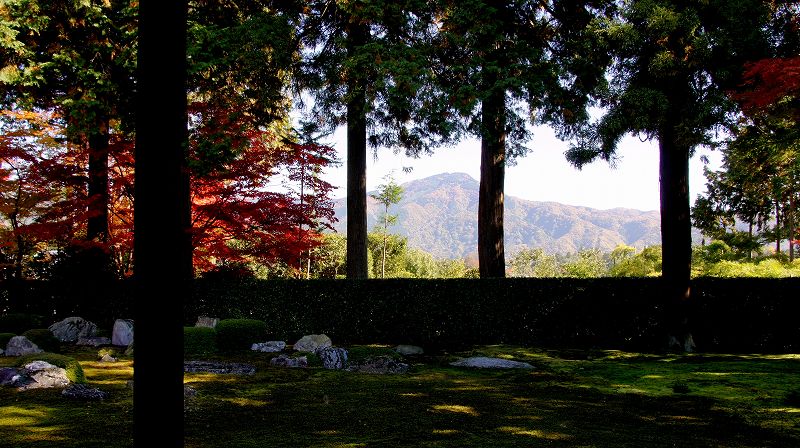 錦秋の都路２０１０ （岩倉 臨済宗妙心寺派 円通寺（借景庭園の寺）の紅葉 ） (2010年11月28日)_c0119555_22171426.jpg