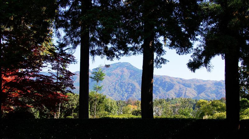 錦秋の都路２０１０ （岩倉 臨済宗妙心寺派 円通寺（借景庭園の寺）の紅葉 ） (2010年11月28日)_c0119555_22173371.jpg