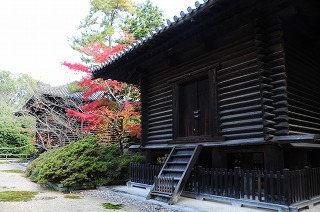c0047856_202314100.jpg