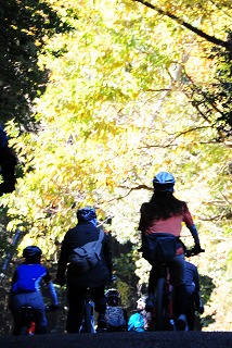 c0047856_20252238.jpg