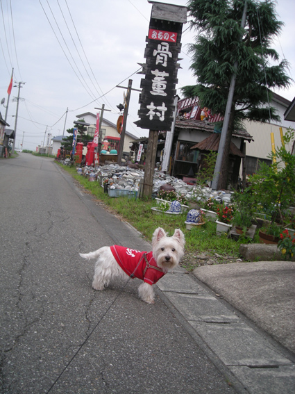 秋田帰省　　みちのく骨董店( ´艸｀)ﾌﾟﾌﾟﾌﾟ_d0134156_13223397.jpg