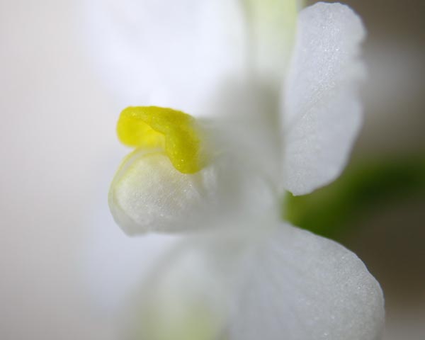 e0035757_2213025.jpg