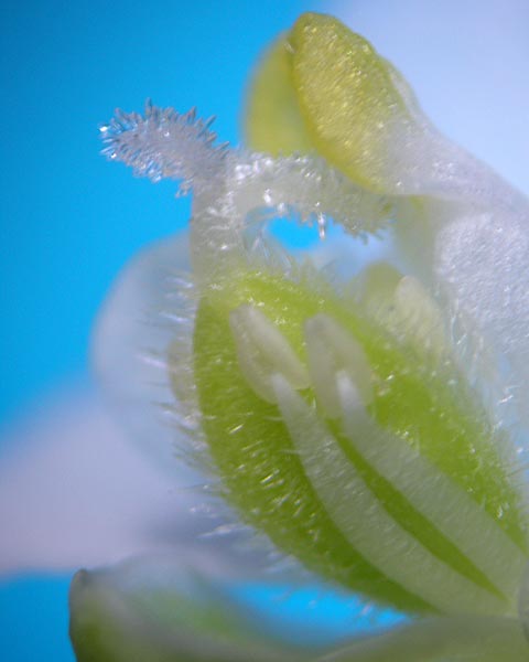 e0035757_22135073.jpg