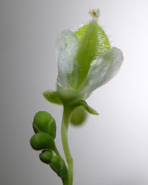 e0035757_22141173.jpg