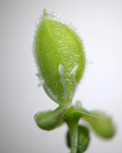 e0035757_2214274.jpg