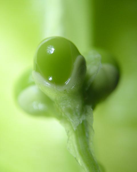 e0035757_22152862.jpg