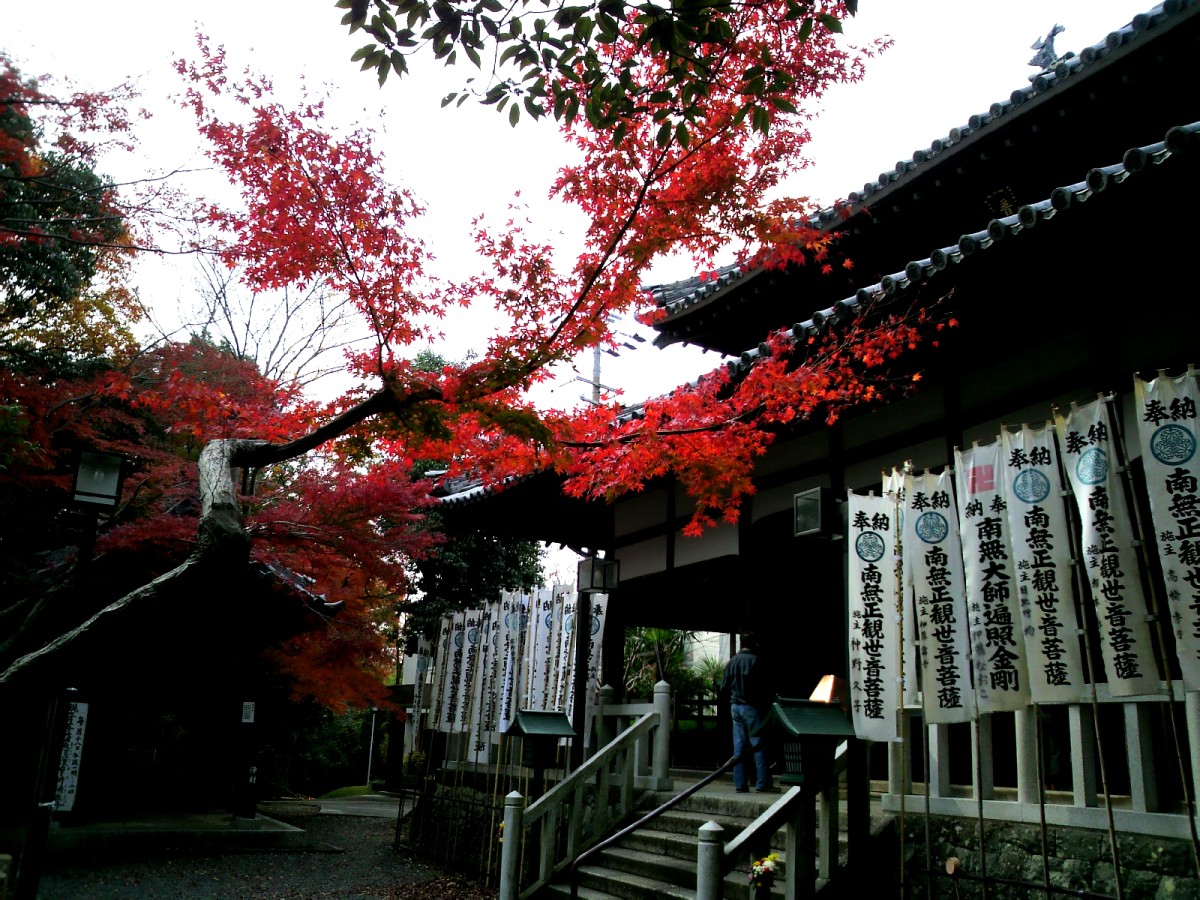 名古屋の秋をさがしに_d0039059_21245482.jpg