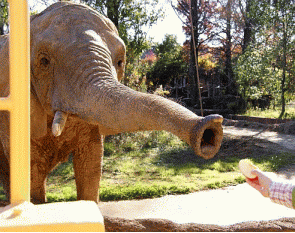 a0027972_1763926.gif