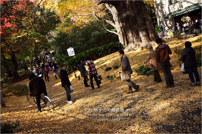 秋からの贈り物 ２０１０　IN 日比谷公園_f0073776_20402848.jpg