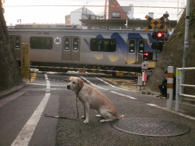 ひさびさの代官山_f0052277_058864.jpg