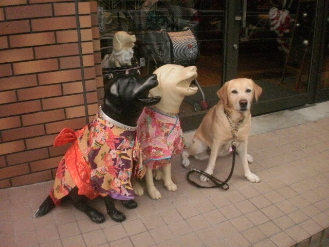 f0052277_14839.jpg