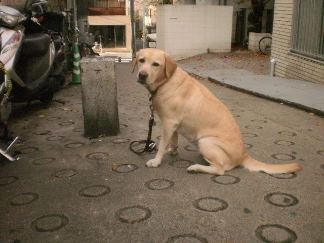 f0052277_162332.jpg