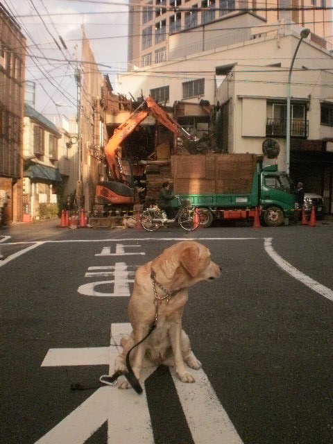 ひさびさの代官山_f0052277_17136.jpg