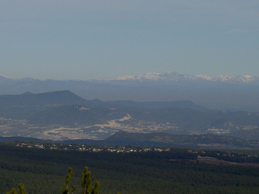 e0205478_16446.jpg