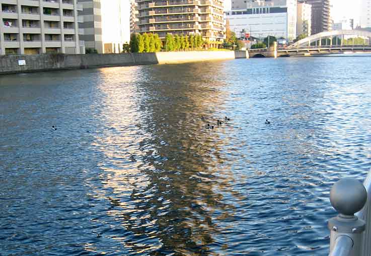 b0057679_8285451.jpg