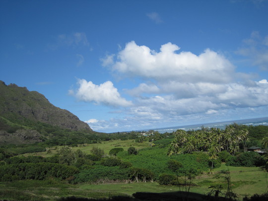 d0039479_003624.jpg